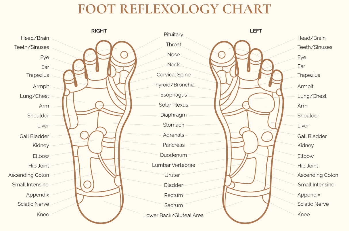 Loop Natural Therapy - Hillscrest Remedial Massage. | Loop Natural Therapy - Pelican Waters loop-natural-therapy-hillscrest-remedial-massage-loop-natural-therapy-pelican-waters